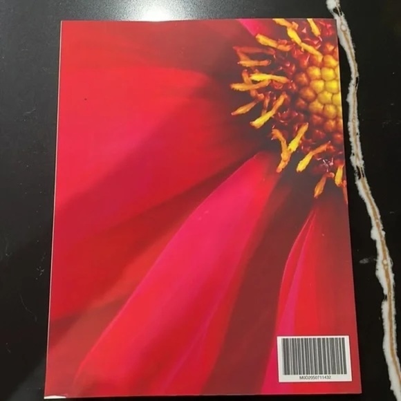 SET: THREE PAPER NOTEBOOKS/ JOURNALS FLOWERS: Personal Journal, NOTES, Red 🌹 - Picture 3 of 10